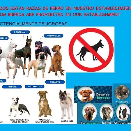 Oviedo Centro-Plaza Longoria Leilighet Eksteriør bilde
